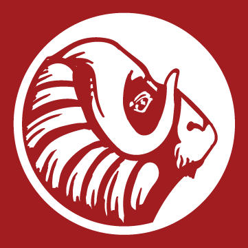 Occidental Suspender Loop Attachment Set